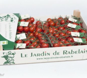 Cherry Tomato Rabelais